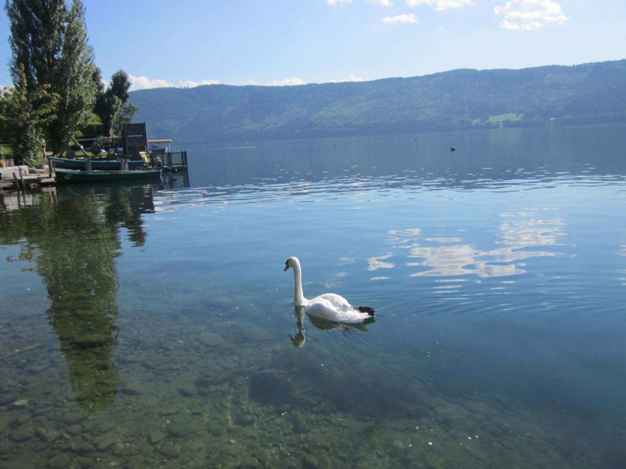 Ferienwohnung Moser Am See Мильстат Экстерьер фото